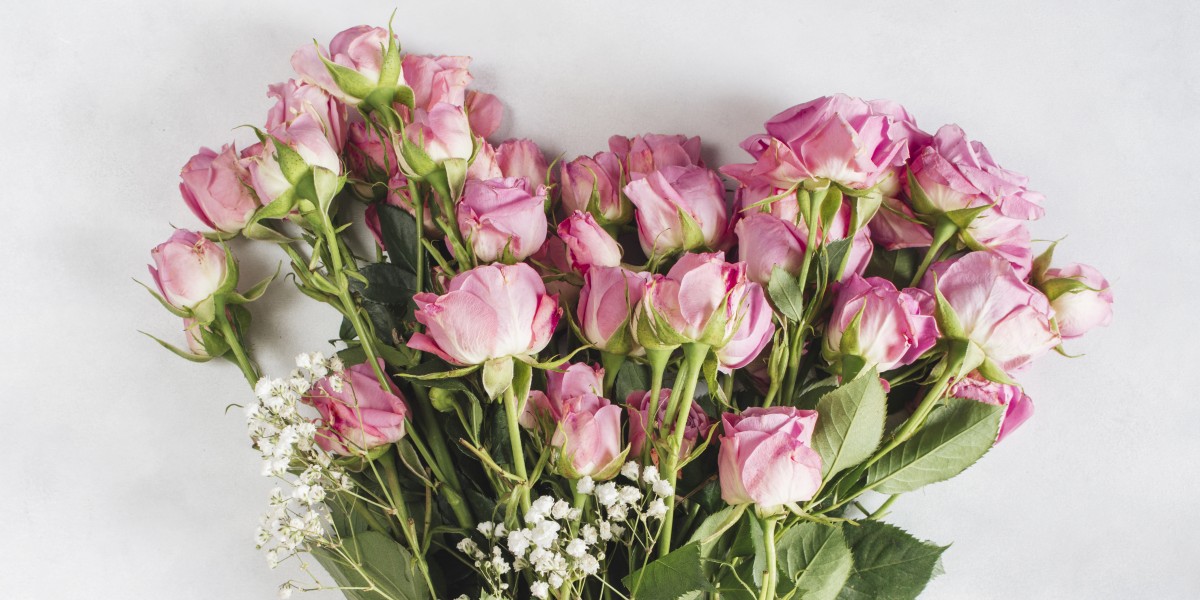 Eustoma