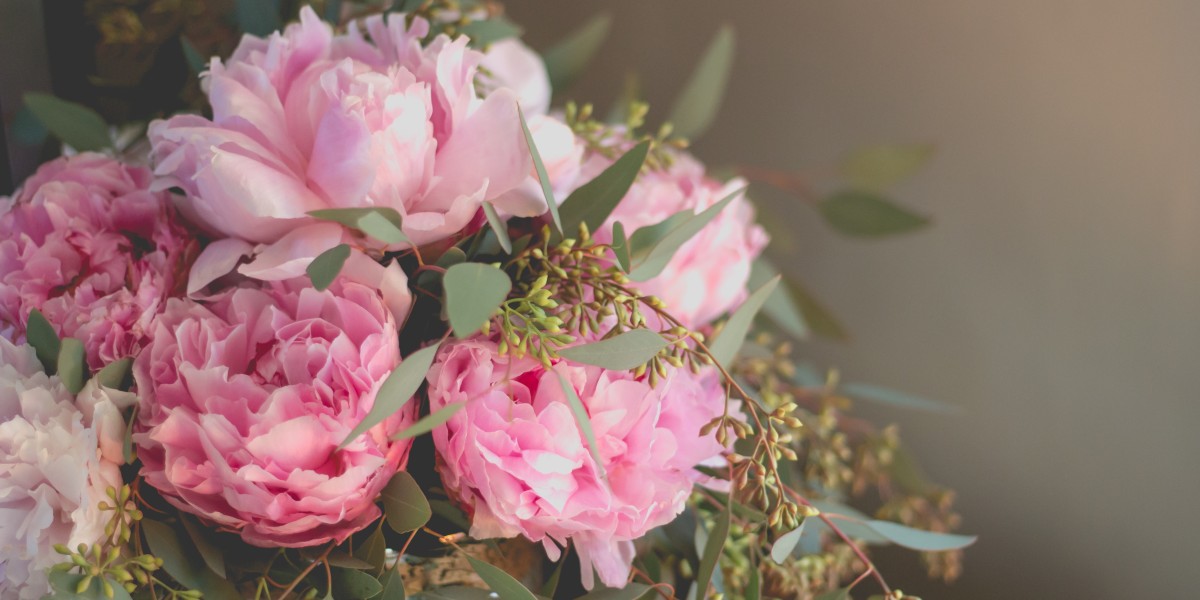 Eustoma