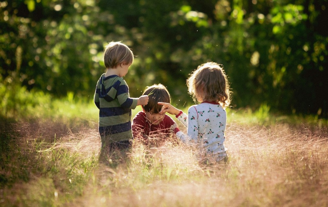 modelos pedagógicos