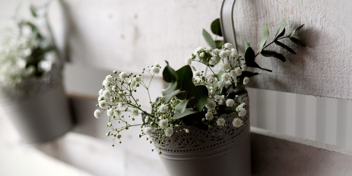 gypsophila