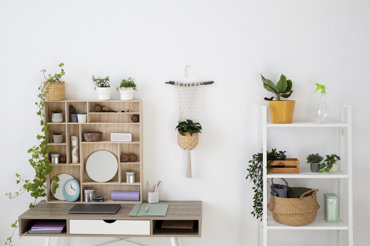 Organizar casa