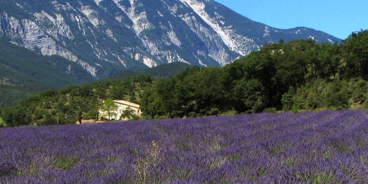 Provença