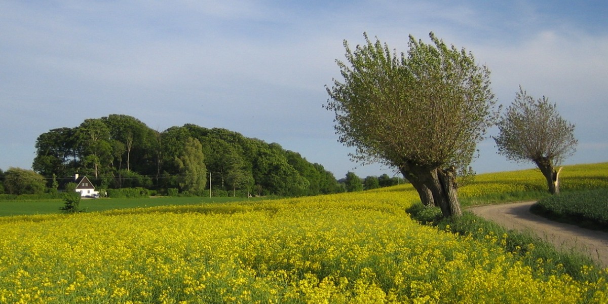 Suécia