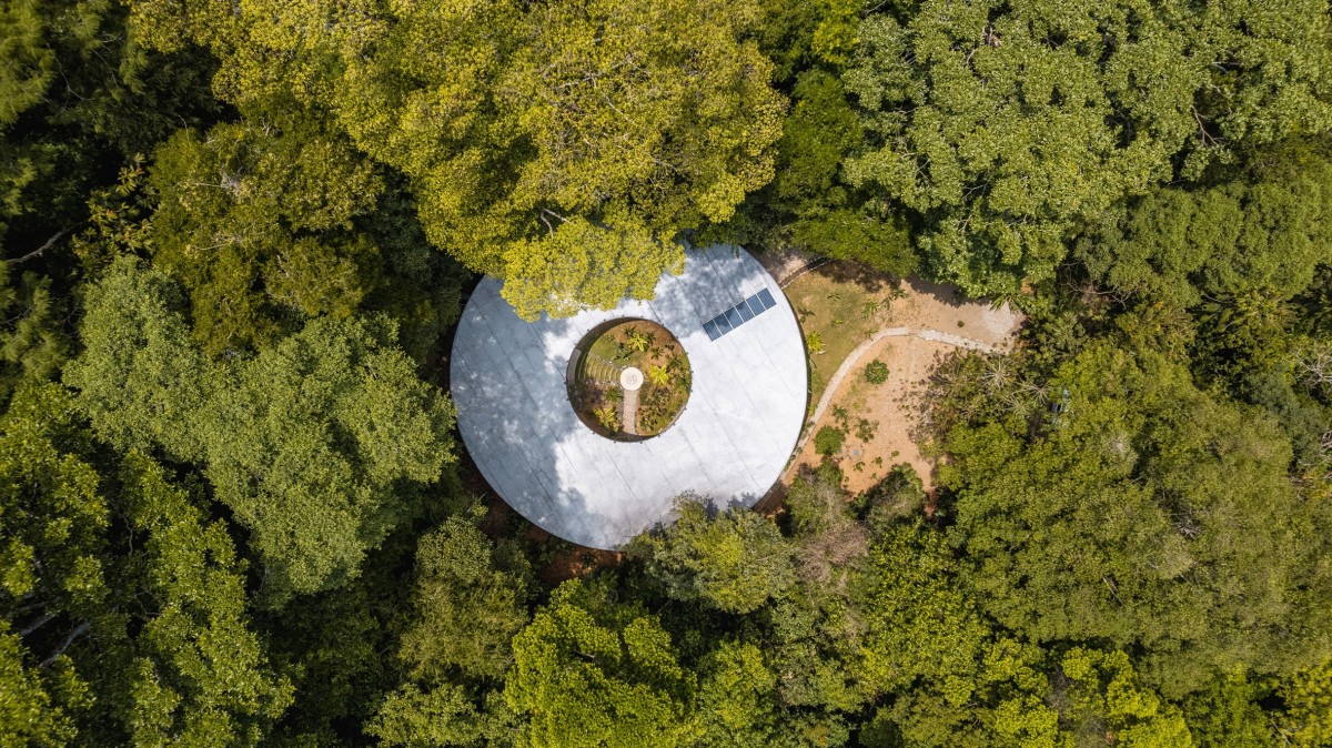 La casa se encuentra en un claro del bosque formado por la caída de un gran árbol. 