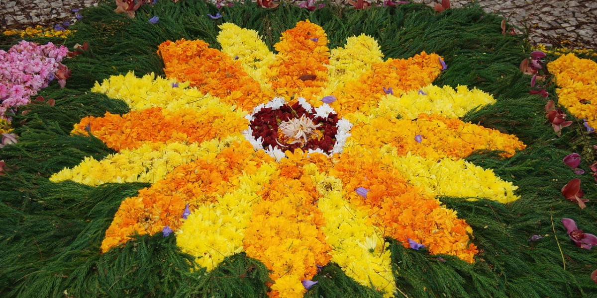 Festa da Flor