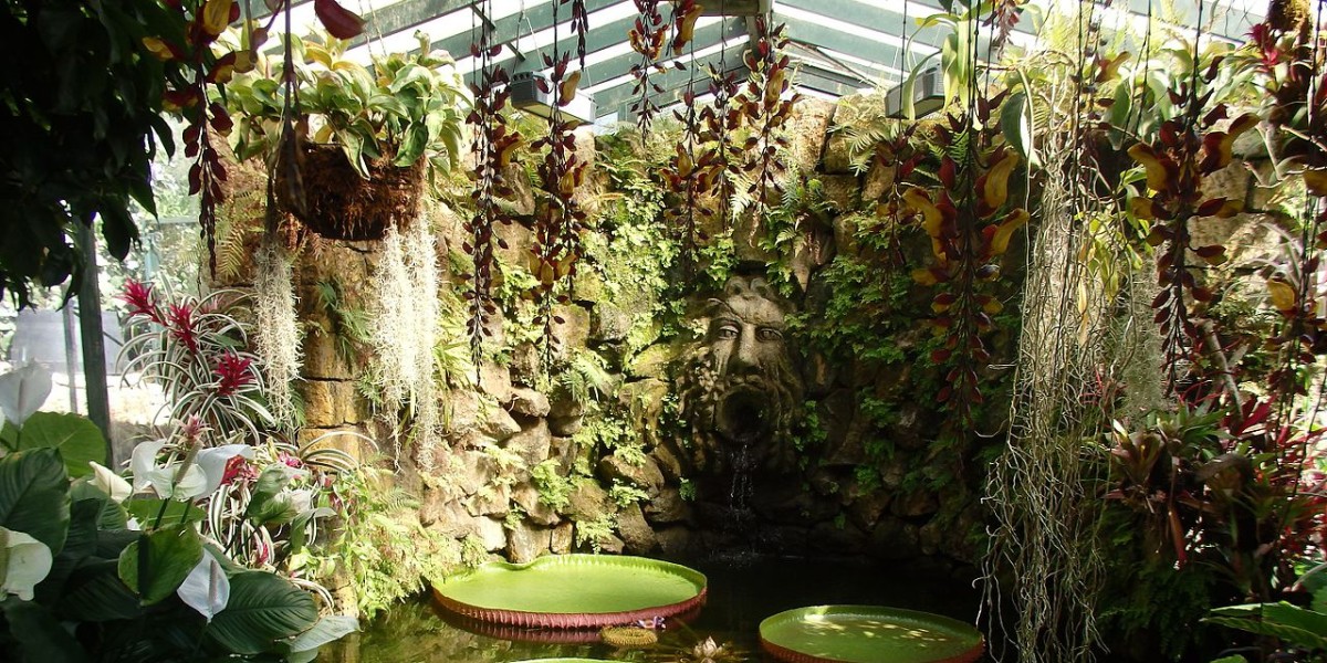 Thunbergia mysorensis