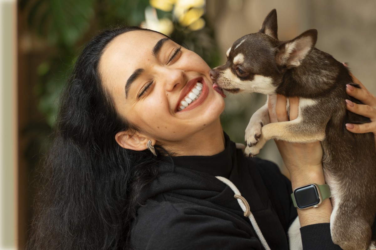 Cuidar de animais de estimação