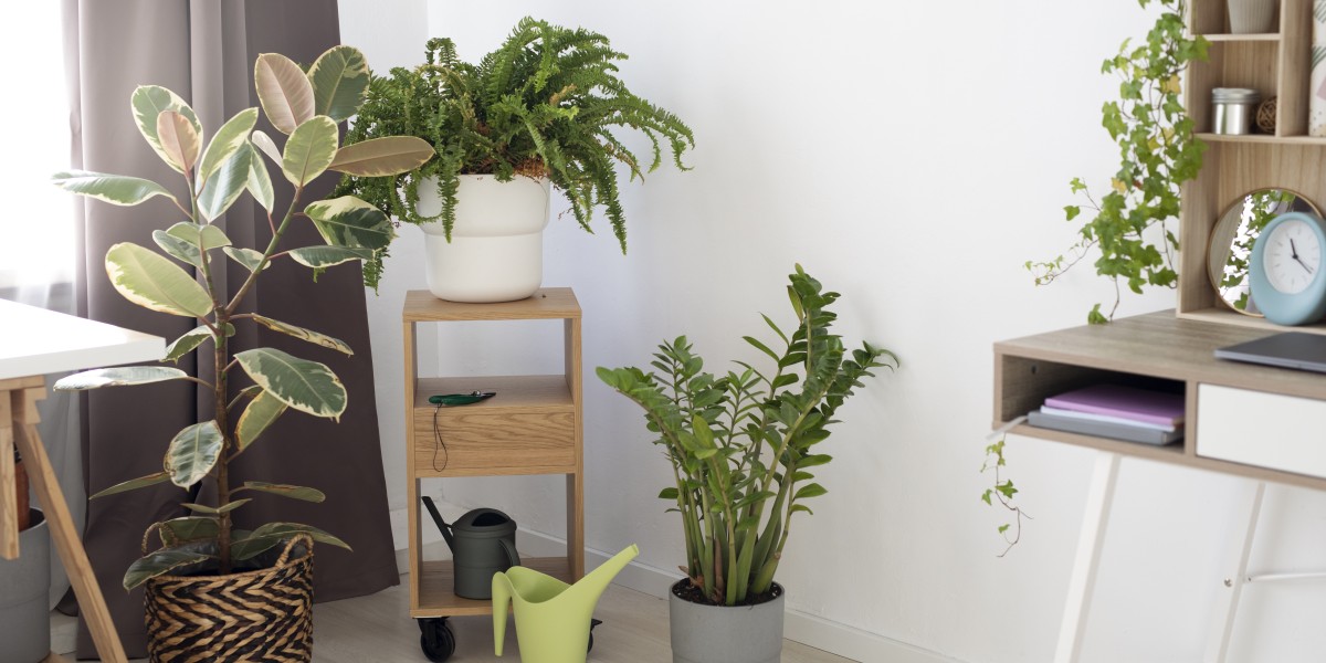 Plantas