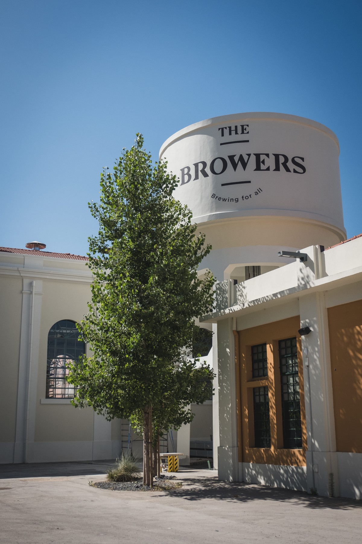 Browers Beato