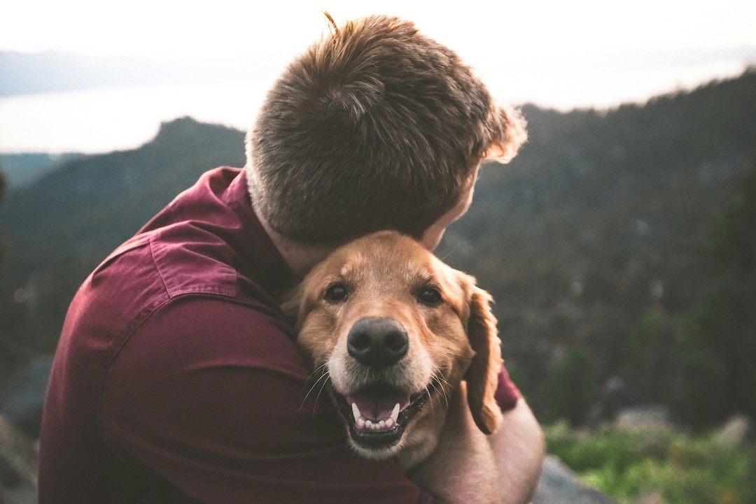 cão e dono abraçados