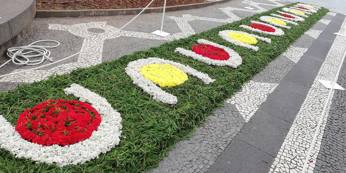 Festa da Flor