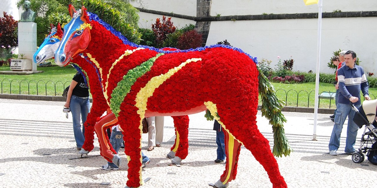 Festa da Flor
