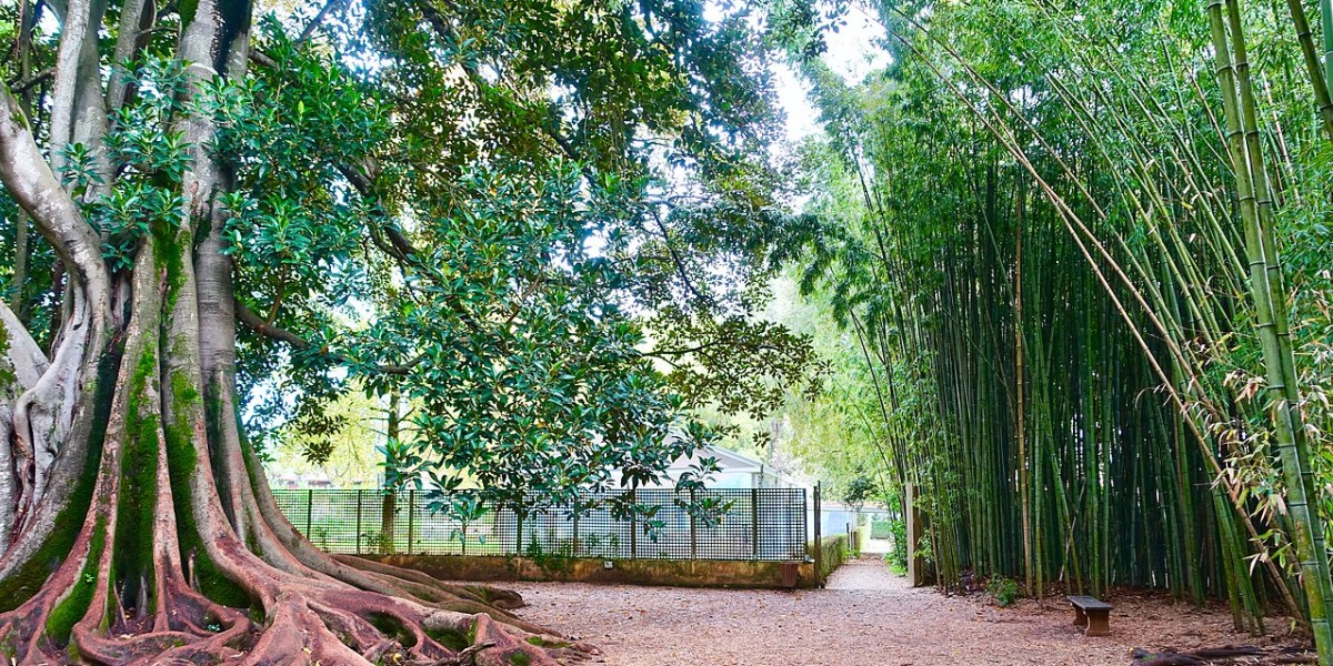 Quinta das Lágrimas