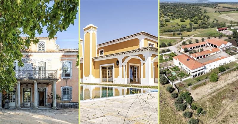 Palácios e quintas à venda