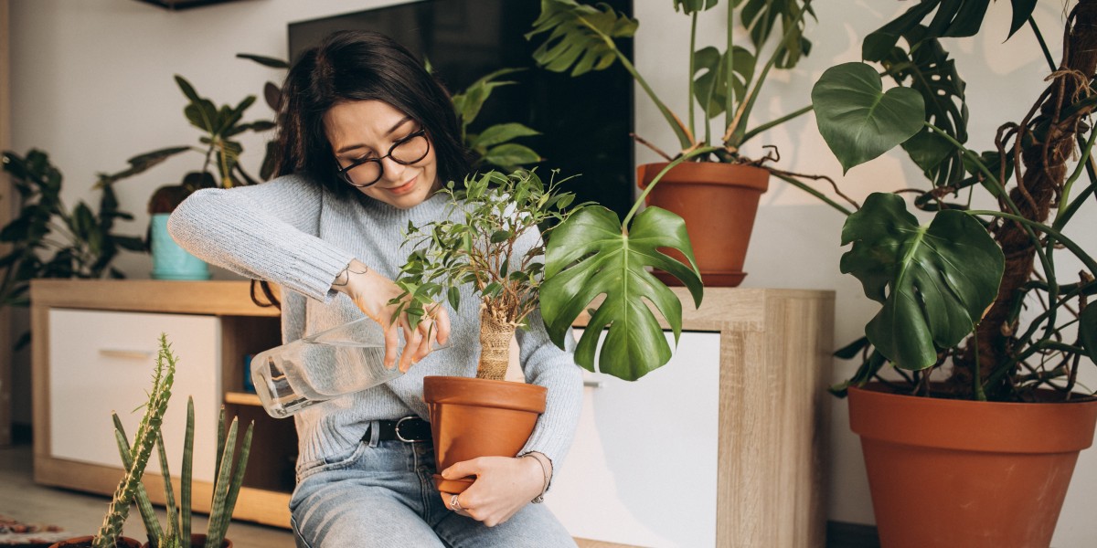 Plantas