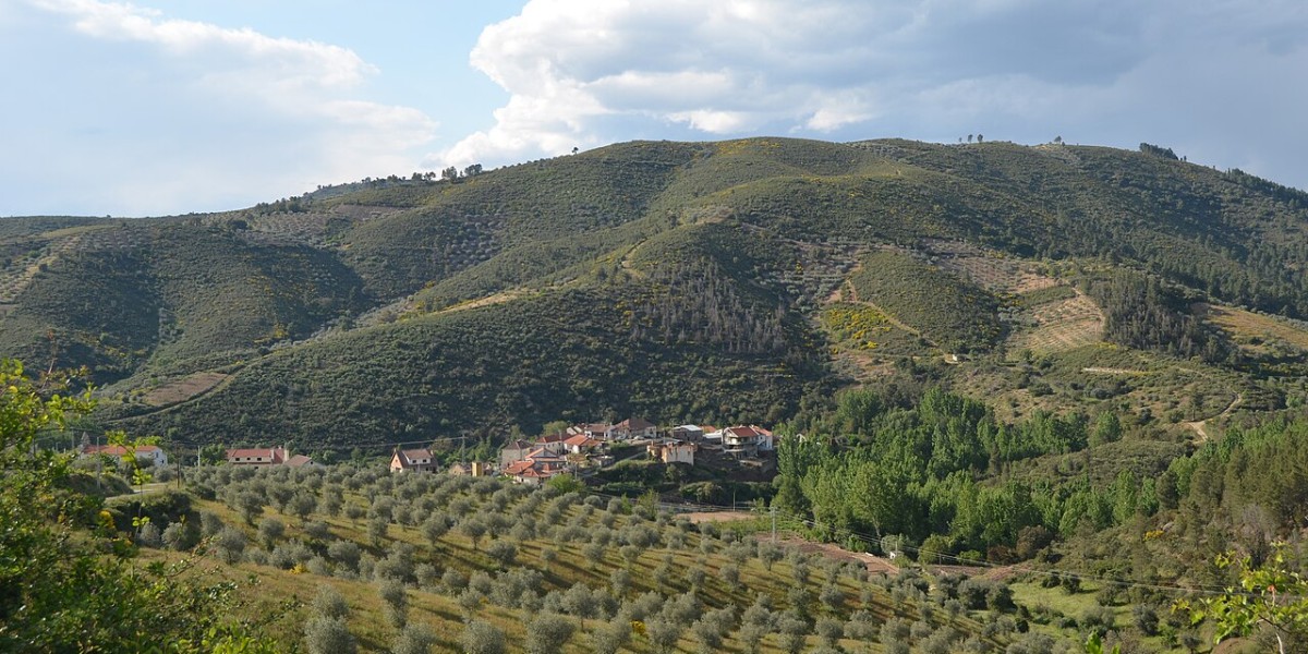 Macedo de Cavaleiros