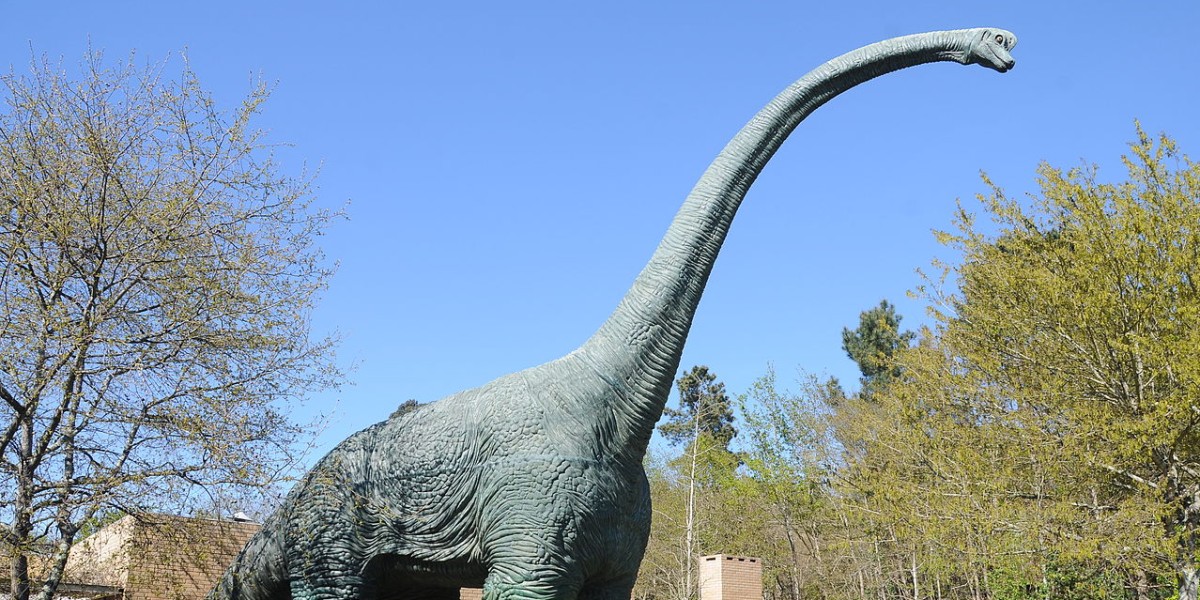 Parque Biológico de Gaia