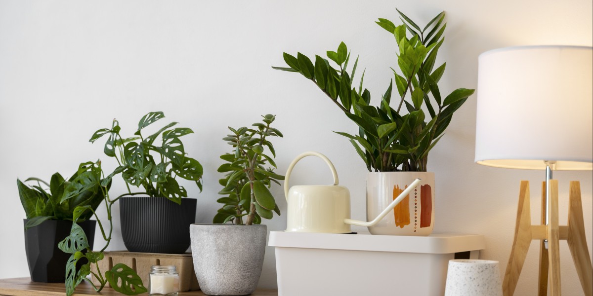 Plantas