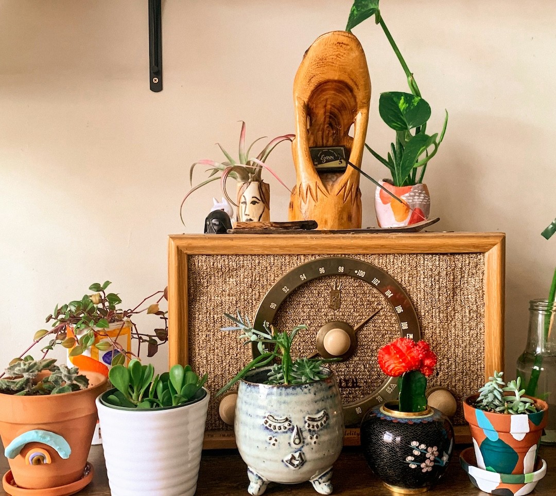 plantas em quarto
