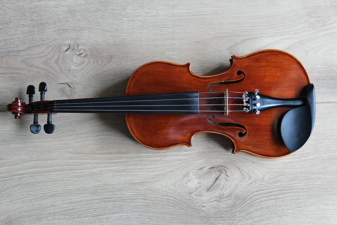 violino