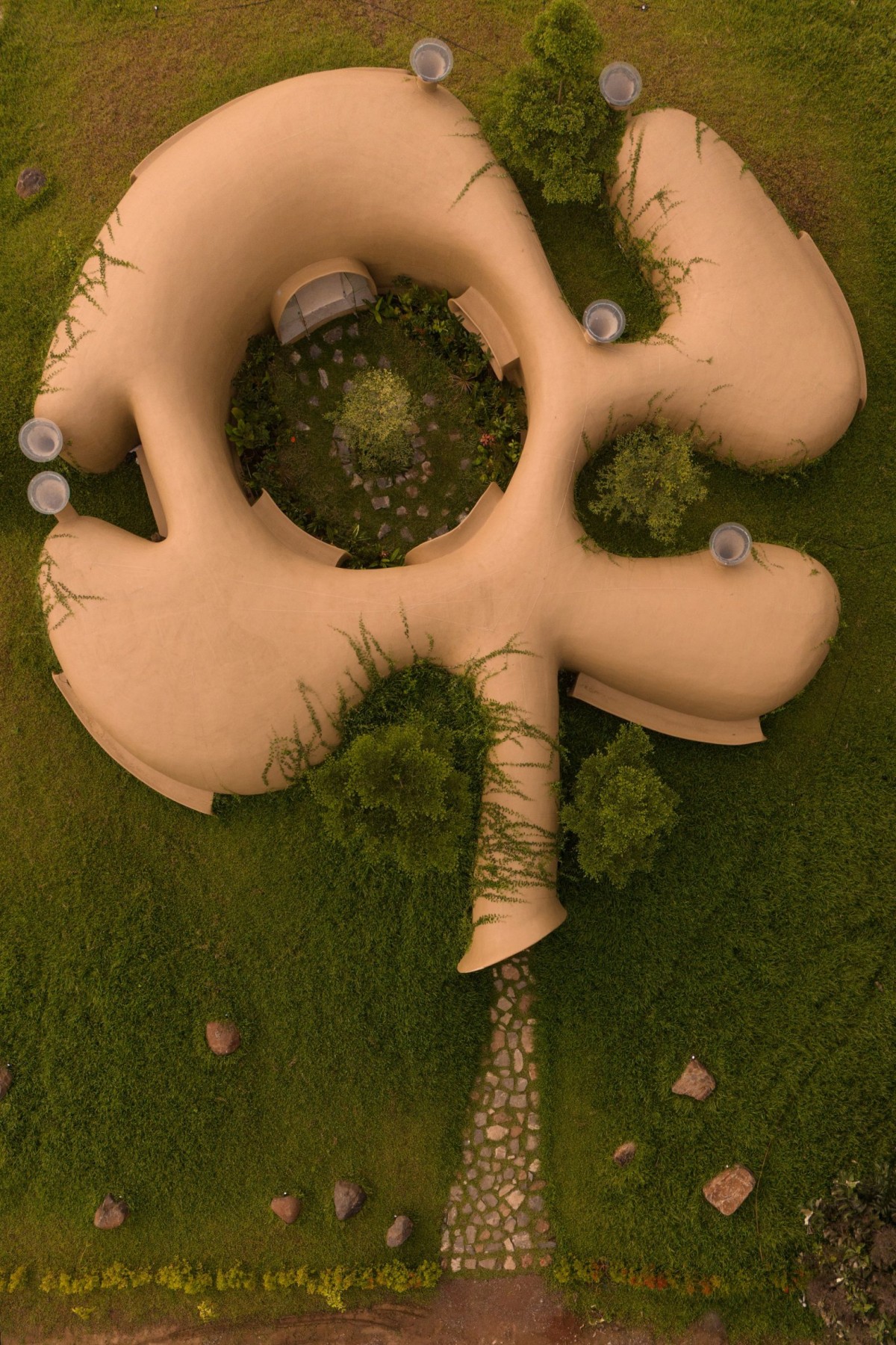 The Wild House