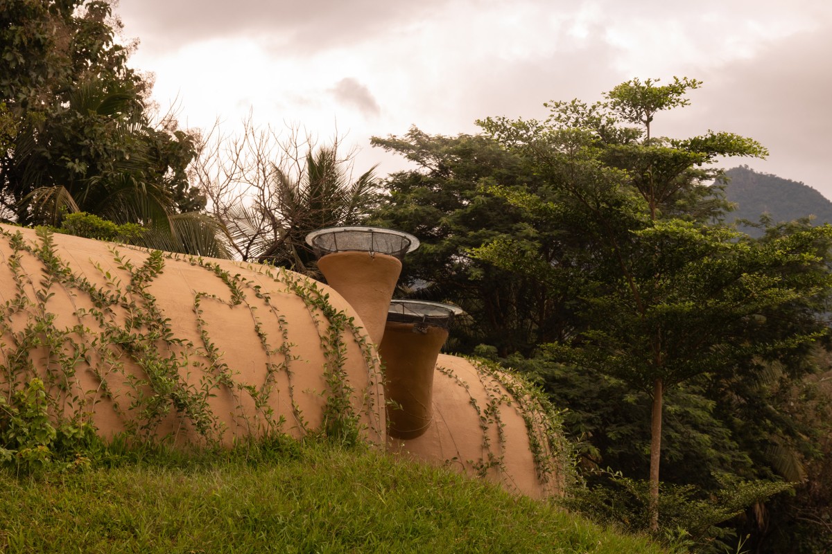 The Wild House