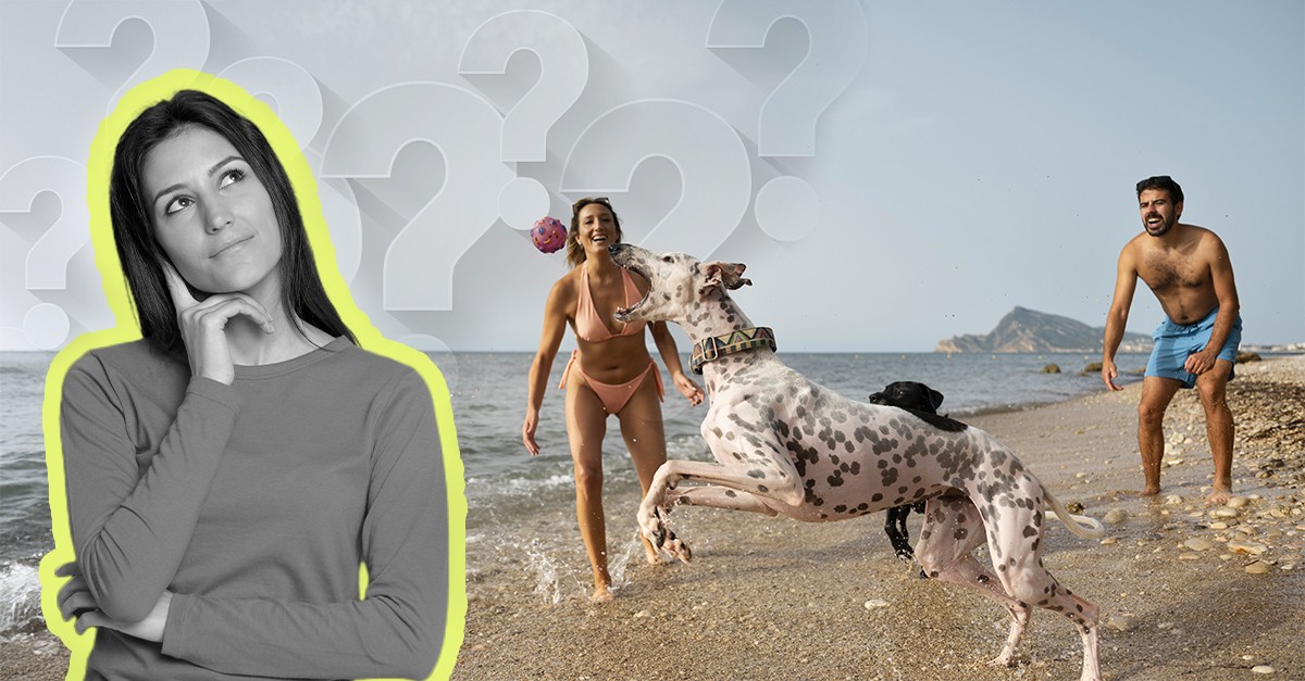 Posso levar o cão à praia?