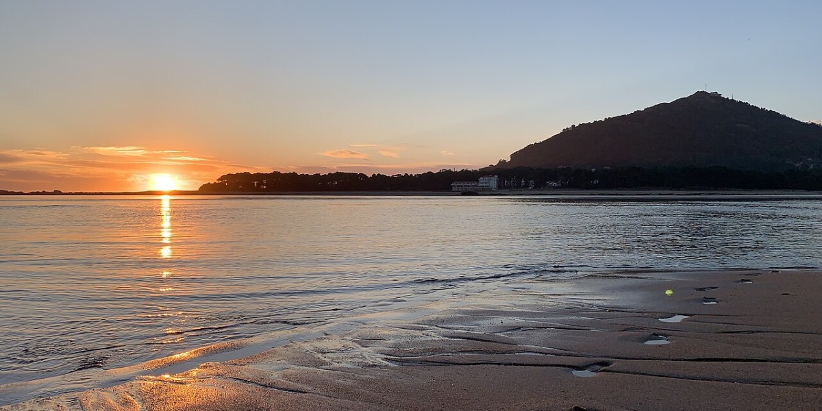 Caminha