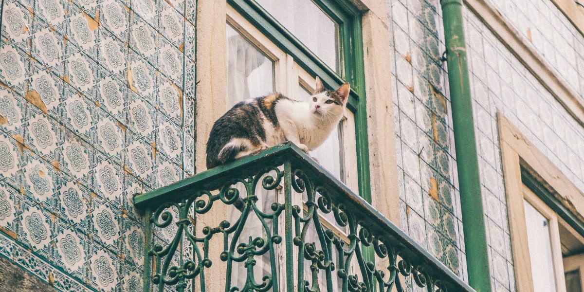 Moving to Portugal with pets