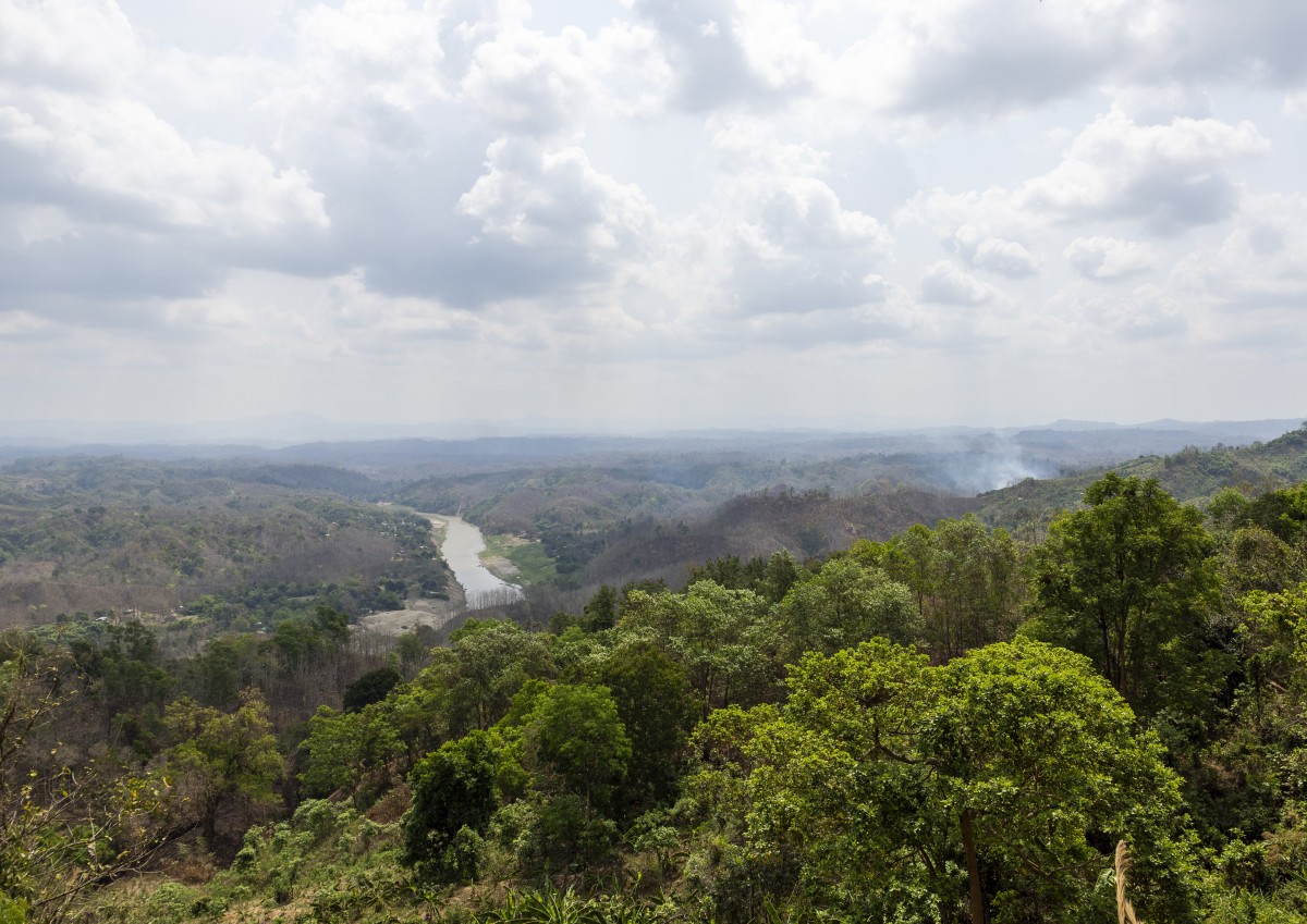 Limpeza de terrenos