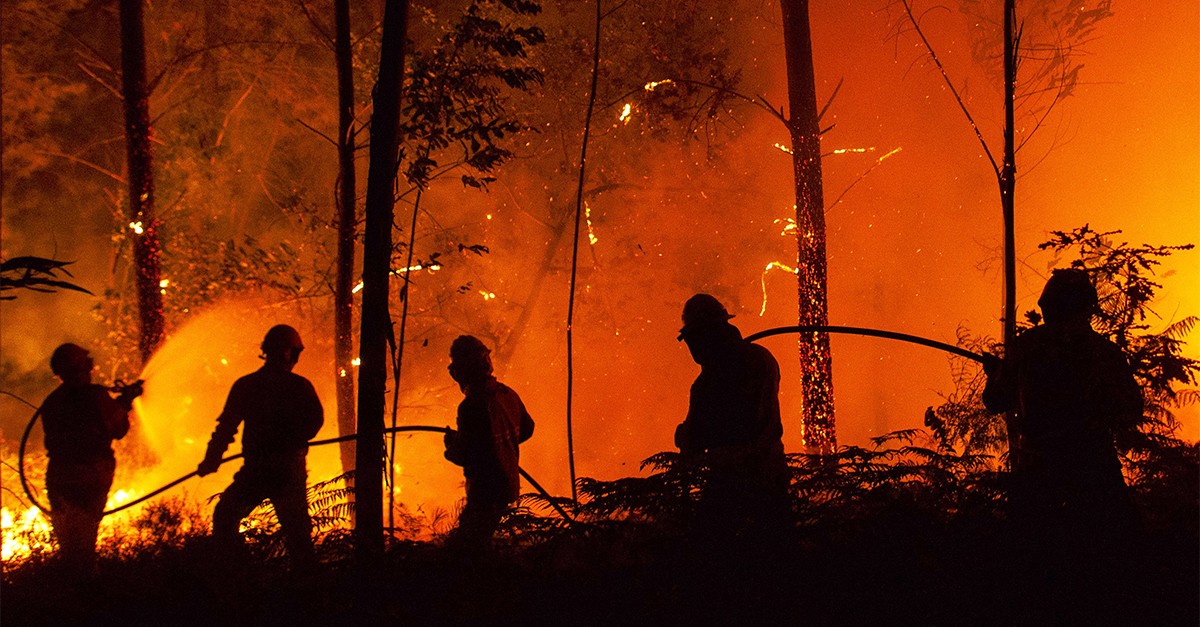 Incêndios florestais em Portugal