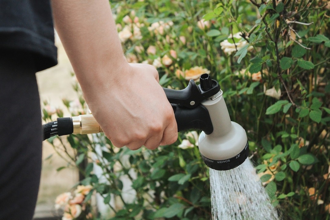 regar as plantas de jardinagem