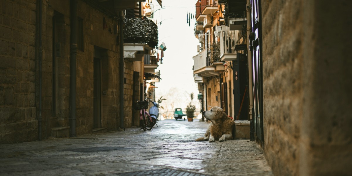 Moving to Portugal with pets