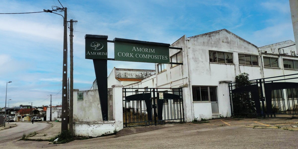 Hospital da Luz no Seixal