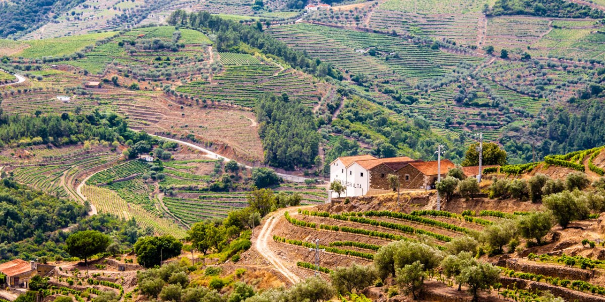 Living in the Douro Valley
