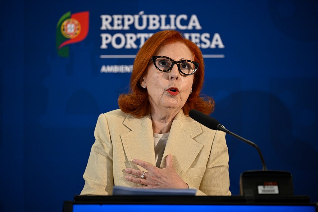 Maria da Graça Carvalho, ministra do Ambiente e Energia Medidas para evitar novo apagão