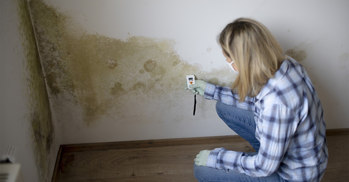 Problemas na construção da casa