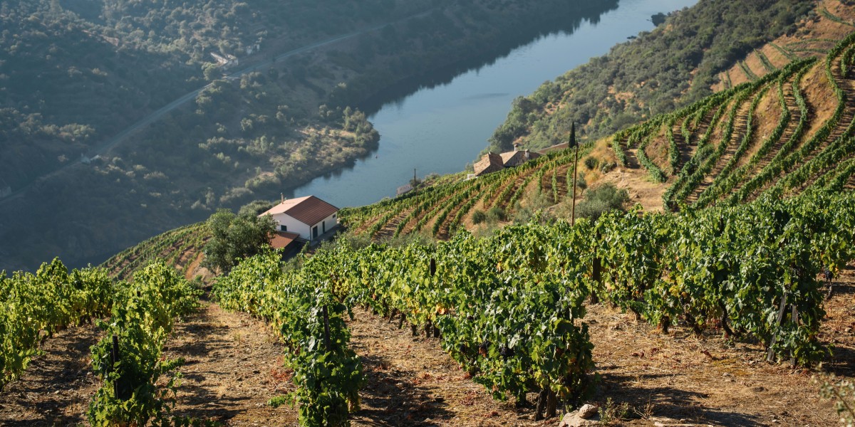 Living in the Douro Valley