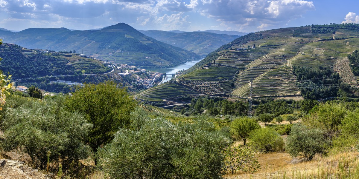 Working remotely in Portugal