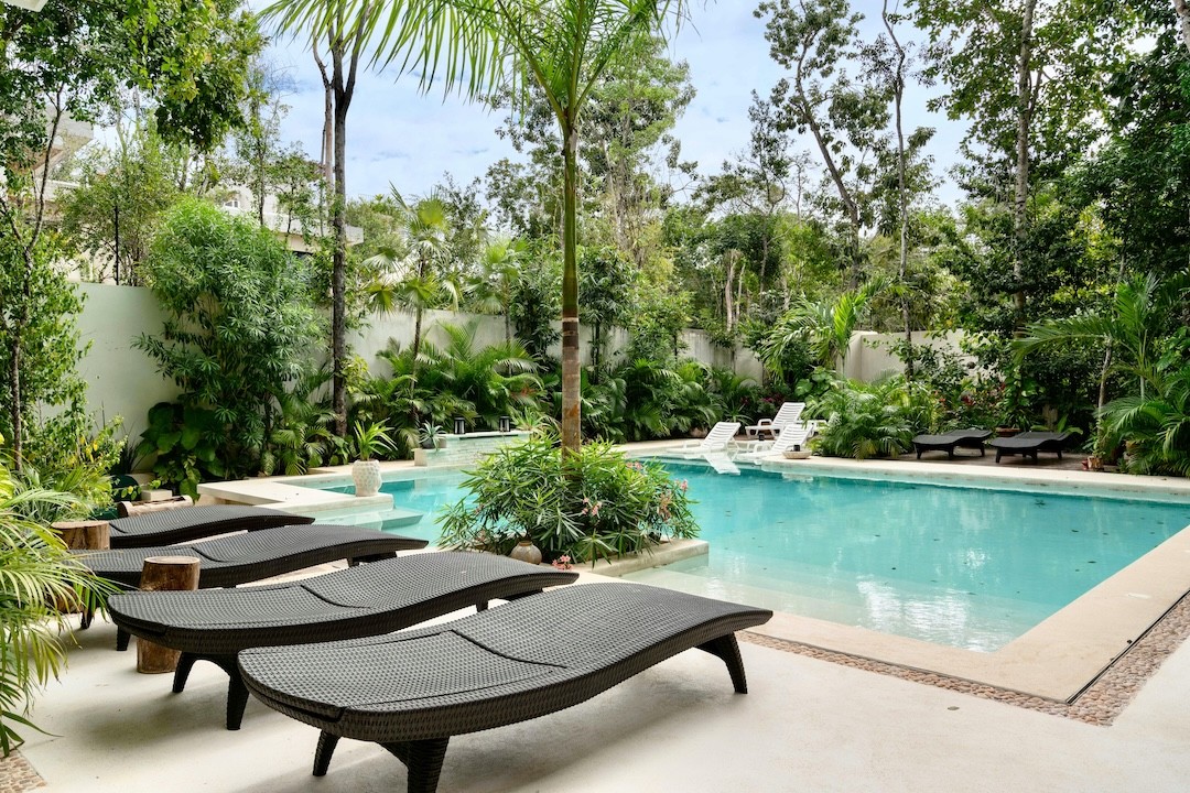 zona de piscina com plantas e árvores