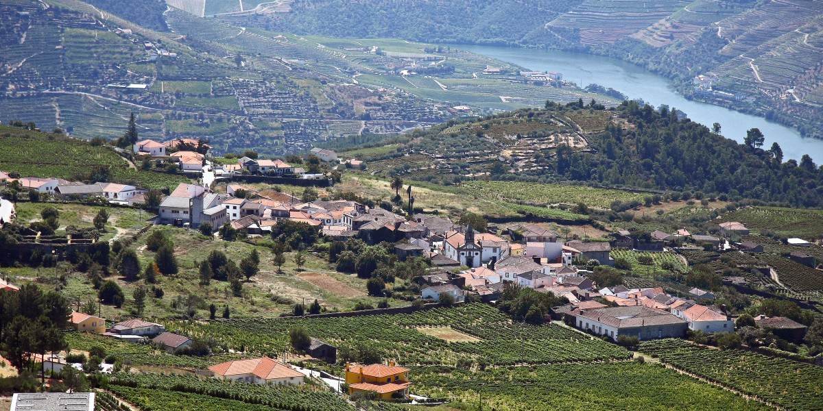Living in the Douro Valley