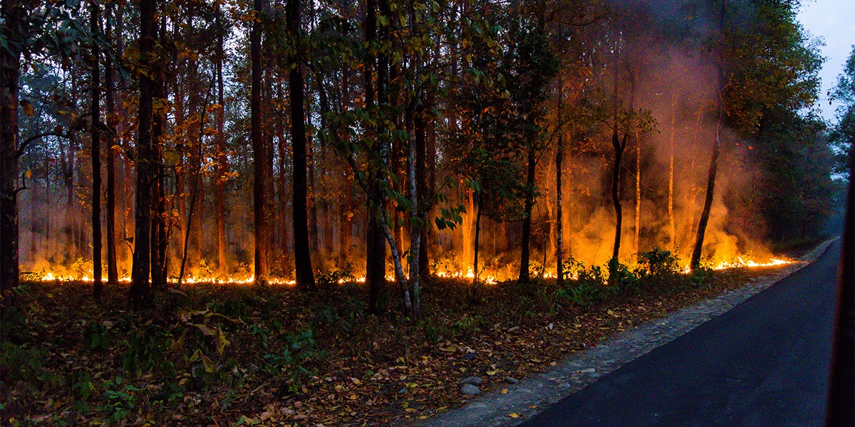 Incêndio Florestal