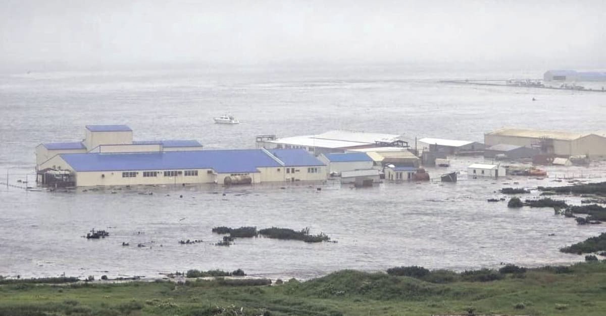 Alerta de tsunami