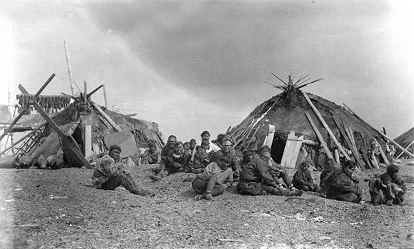 Os cães estavam mortos à fome.