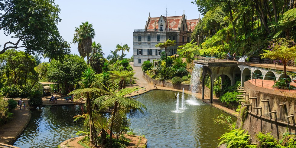 Things to see in Madeira