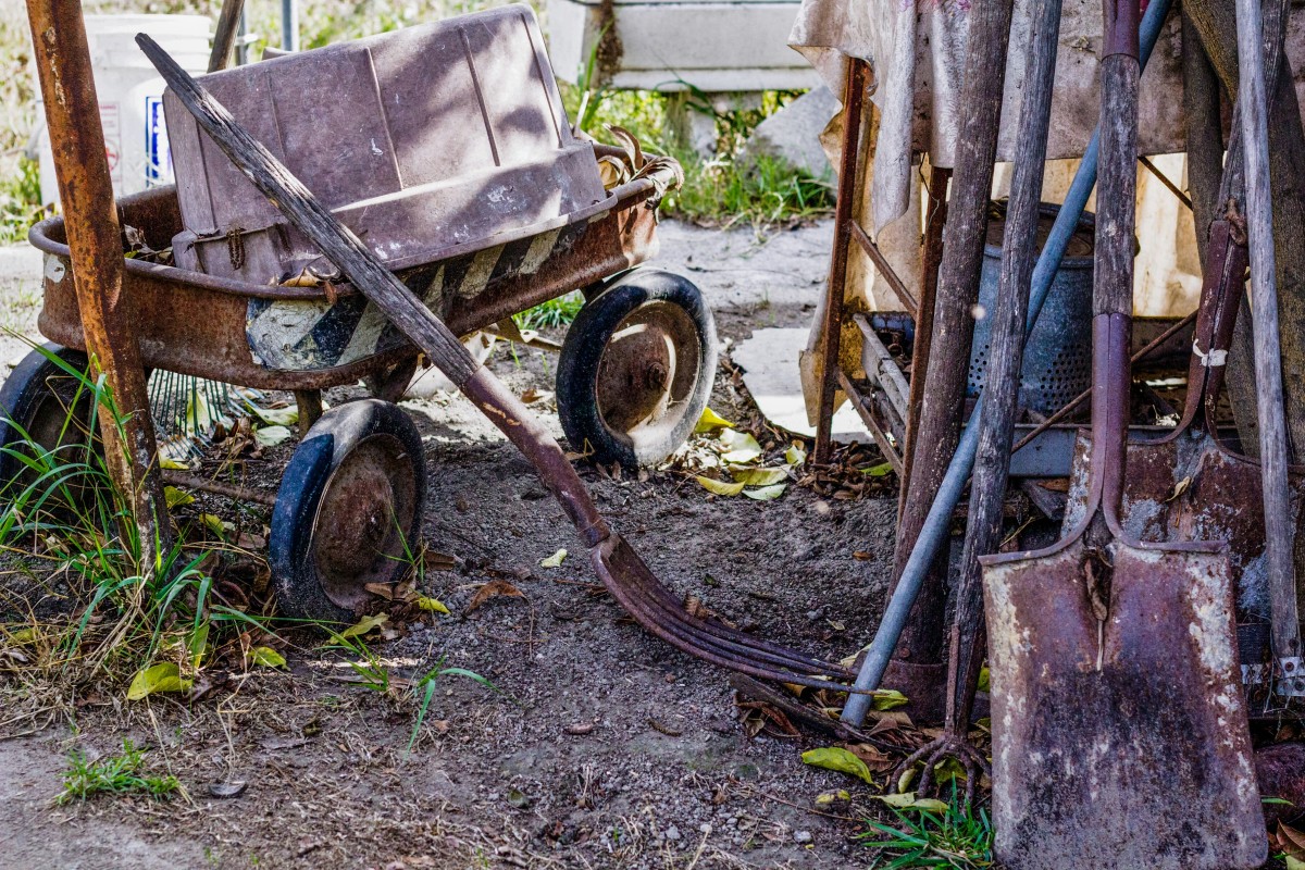 jardim abandonado