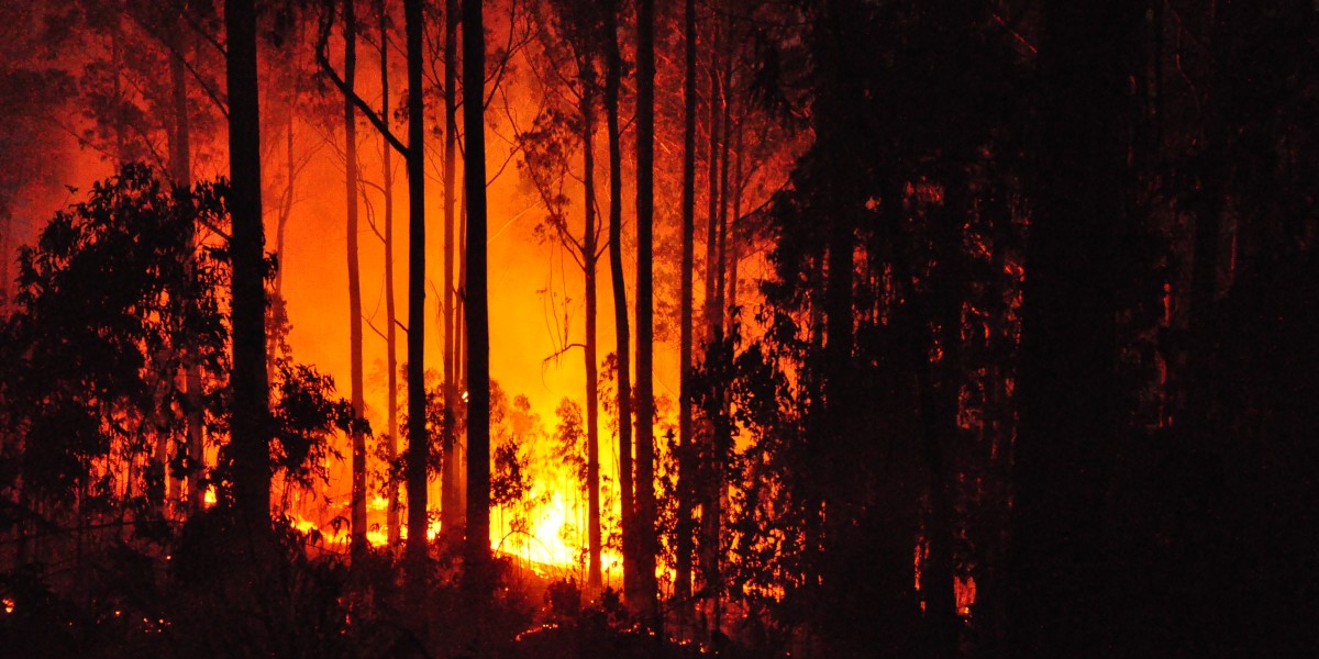 Portugal fire update