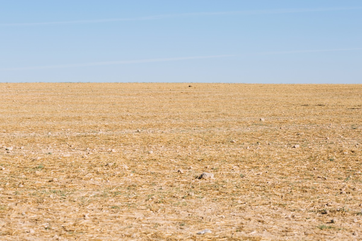 Requalificação dos solos