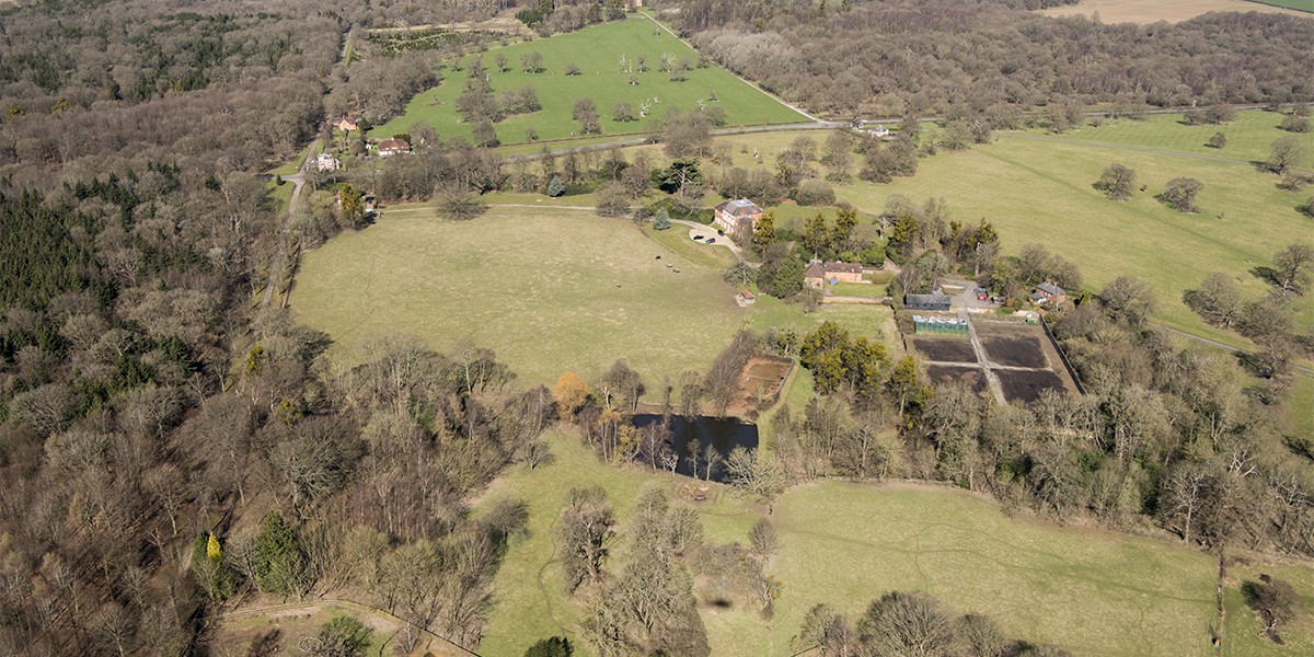 Forest Lodge