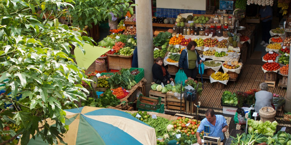 Things to see in Madeira
